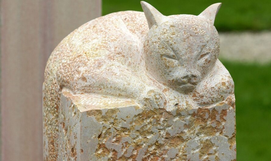 La muerte del gato